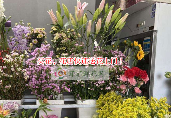 漳州东山县买花,漳州东山县花店快速送花上门!